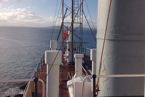 Albany's Whale Story - Whitsundays Accommodation 2