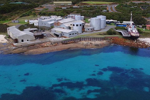 Albany's Whale Story - Whitsundays Accommodation 4