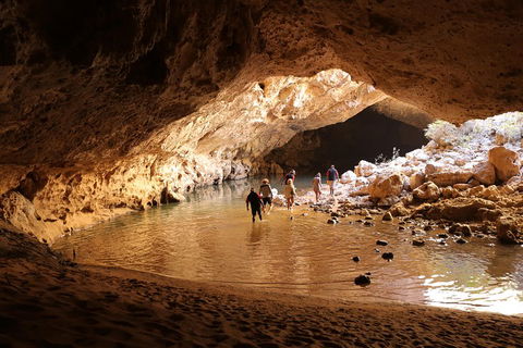 Windjana Explorer - Whitsundays Accommodation 0