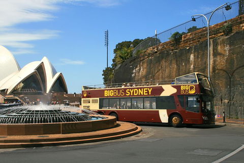 Big Bus Sydney And Bondi Hop-on Hop-off Tour - Whitsundays Accommodation 3