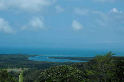 Cape Tribulation, Daintree Rainforest And Wildlife Tour - Whitsundays Accommodation 1
