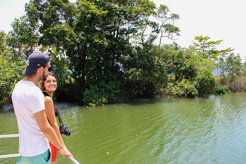 Cape Tribulation, Daintree Rainforest And Wildlife Tour - Whitsundays Accommodation 2