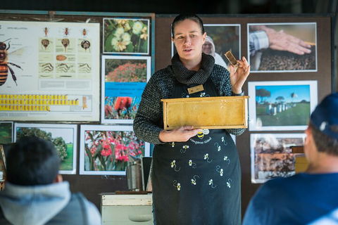 One Day Kangaroo Island Sip & See Tour With Return Ferry Transfers From Adelaide - Whitsundays Accommodation 4