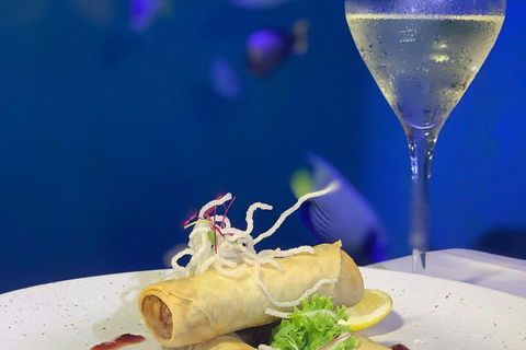 Cairns Aquarium And Small Group City Sightseeing Tour - Whitsundays Accommodation 5