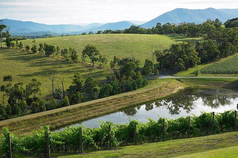 Yarra Valley Wine And Cider Tours By Classic Convertibles From Melbourne - Whitsundays Accommodation 1