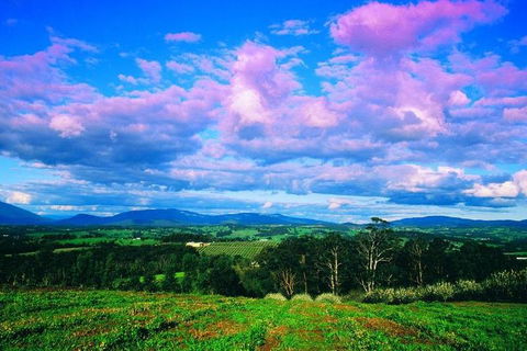 Yarra Valley Wine And Cider Tours By Classic Convertibles From Melbourne - Whitsundays Accommodation 3
