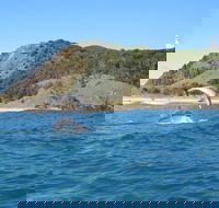 Kayaking with Dolphins in Byron Bay Guided Tour - Whitsundays Accommodation