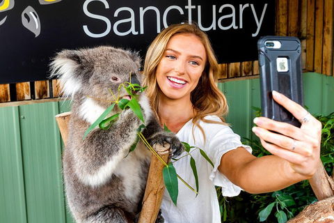 Moonlit Sanctuary Wildlife Conservation Park Daytime General Entry Ticket - Whitsundays Accommodation 4