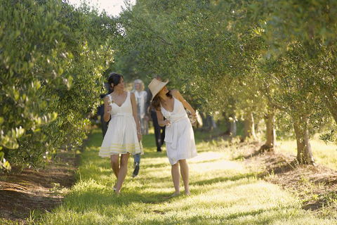 Yarra Valley Wine Tour With Local Harvest Tastings From Melbourne - Whitsundays Accommodation 0