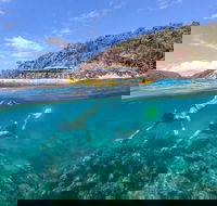 Great Barrier Reef Scenic Flight and Ocean Rafting Whitehaven Beach Day Trip - Whitsundays Accommodation