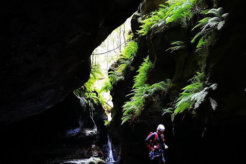 Full-Day Canyoning Experience At Stunning Empress Canyon - Whitsundays Accommodation 2