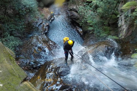 Full-Day Canyoning Experience At Stunning Empress Canyon - Whitsundays Accommodation 4