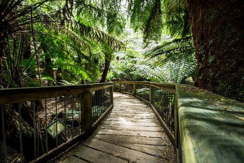 Melbourne To Adelaide South East Coast 3 Day Overland Tour - Whitsundays Accommodation 1