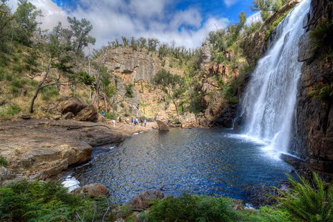 Melbourne To Adelaide South East Coast 3 Day Overland Tour - Whitsundays Accommodation 4