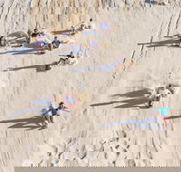 Unlimited Sandboarding - Whitsundays Accommodation