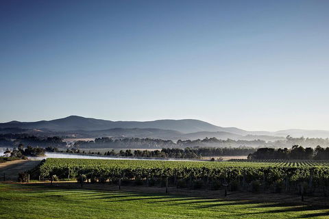 Chauffeur Driven Yarra Valley Group Wine Tour - Up To 7 - Whitsundays Accommodation 2