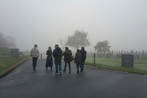 Chauffeur Driven Yarra Valley Group Wine Tour - Up To 7 - Whitsundays Accommodation 4