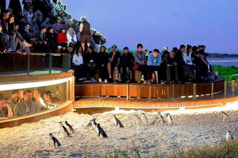 Great Ocean Road & Phillip Island - 3 Days, 2 Nights - Whitsundays Accommodation 0