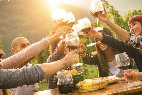Yarra Valley, Dandenong Ranges Inc. Lunch With Wine,plus Morning Tea,chocolate - Whitsundays Accommodation 4