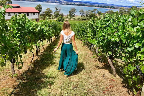 Tamar Valley Wine Tour With Lunch - Whitsundays Accommodation 2