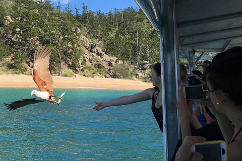 Aquascene Magnetic Island Discovery Tour - Whitsundays Accommodation 2