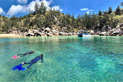 Aquascene Magnetic Island Discovery Tour - Whitsundays Accommodation 4
