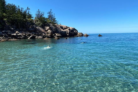 Aquascene Magnetic Island Discovery Tour - Whitsundays Accommodation 5