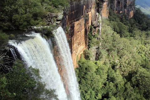 Private Grand Pacific Drive And Southern Highlands Tour - Whitsundays Accommodation 1