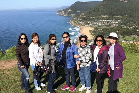 Private Grand Pacific Drive And Southern Highlands Tour - Whitsundays Accommodation 3