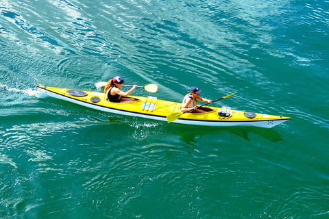 Self-Guided Sydney Middle Harbour Kayak 3 Hour Tour By Double Kayak - Whitsundays Accommodation 1