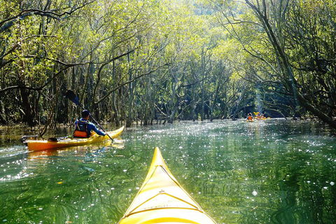 Self-Guided Sydney Middle Harbour Kayak 3 Hour Tour By Double Kayak - Whitsundays Accommodation 3