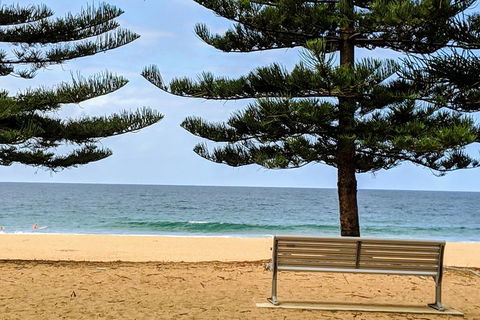Manly & Sydney's Northern Beaches With 'Personalised Sydney Tours' - Whitsundays Accommodation 0