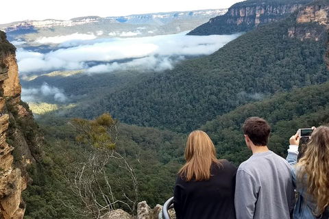 Blue Mountains Private Tour - Wild Kangaroos, Waterfalls And The Three Sisters - Whitsundays Accommodation 3