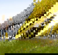 2-Day Private Daylesford  Macedon Ranges Gourmet Food Trail Tour from Melbourne - Whitsundays Accommodation