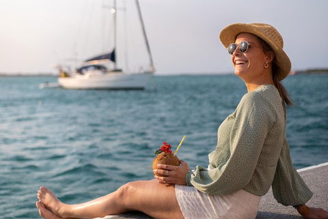 All Inclusive Dolphin And Tangalooma Wrecks Cruise - Whitsundays Accommodation 5