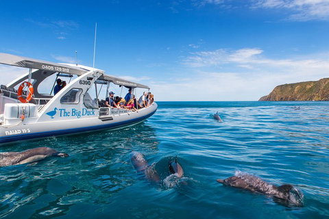 Victor Harbor And McLaren Vale Wine Region Day Tour - Whitsundays Accommodation 1