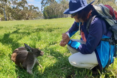 Mount Lofty Hike And Cleland Wildlife Park Day Trip From Adelaide - Whitsundays Accommodation 1