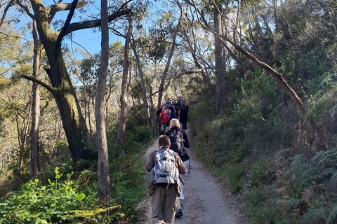 Mount Lofty Hike And Cleland Wildlife Park Day Trip From Adelaide - Whitsundays Accommodation 3