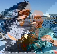 Crab Trip from Gold Coast - Whitsundays Accommodation