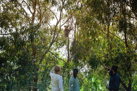 LGBT+ Friendly 3 Day Tour The Grampians, Daylesford & Ballarat - Whitsundays Accommodation 4