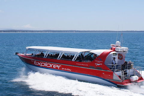 Whale Watching Jervis Bay - Whitsundays Accommodation 1