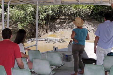Whitsunday Crocodile Safari Including Lunch - Whitsundays Accommodation 4