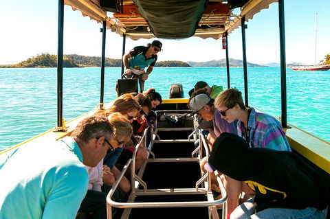 Airlie Beach Glass Bottom Boat Tour - Whitsundays Accommodation 1