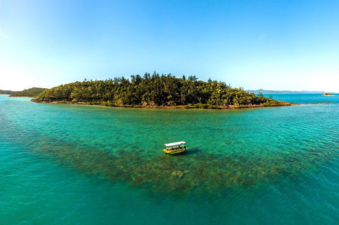 Airlie Beach Glass Bottom Boat Tour - Whitsundays Accommodation 3