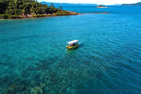 Airlie Beach Glass Bottom Boat Tour - Whitsundays Accommodation 4