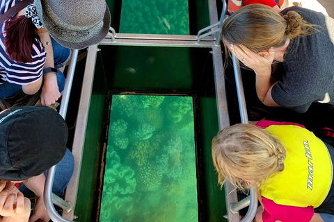 Airlie Beach Glass Bottom Boat Tour - Whitsundays Accommodation 5