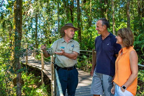 Kuranda Scenic Railway Day Trip From Cairns - Whitsundays Accommodation 1