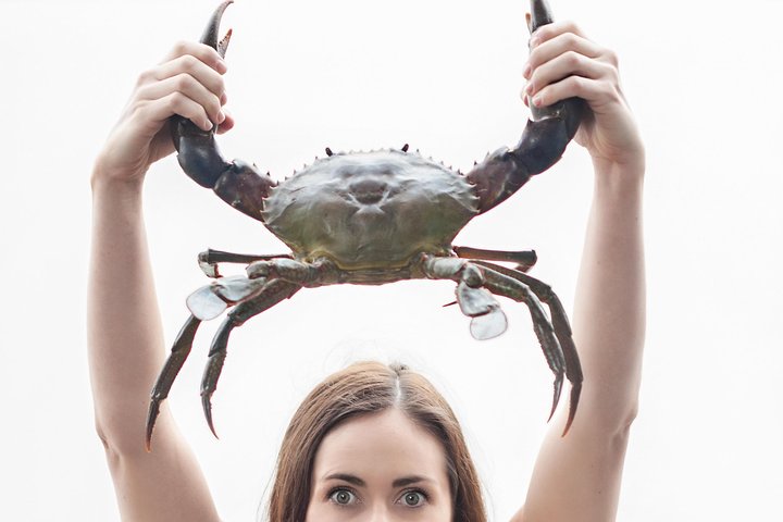 Surfers Paradise QLD Whitsundays Accommodation