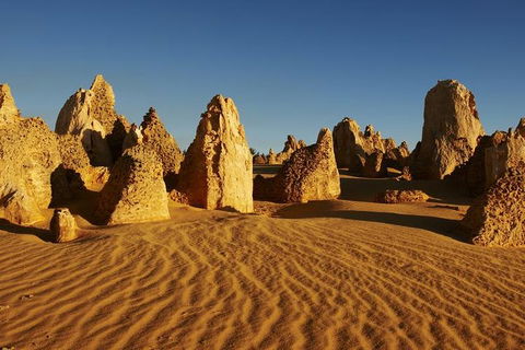 Full Day Pinnacle Desert Explorer From Perth Including Hillarys And Lancelin Sandboarding - Whitsundays Accommodation 3