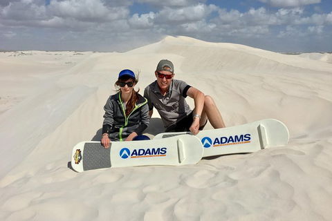 Full Day Pinnacle Desert Explorer From Perth Including Hillarys And Lancelin Sandboarding - Whitsundays Accommodation 4